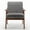 Gray, variant on US Pride Furniture Cedrice 26.37" Velvet Accent Chair, Pink