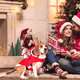 thumbnail image 5 of Disfraz de perro de Papá Noel, ropa navideña para mascotas, disfraces de Papá Noel para montar a caballo, disfraces de fiesta para perros y gatos, traje para perros pequeños y medianos, 5 of 5