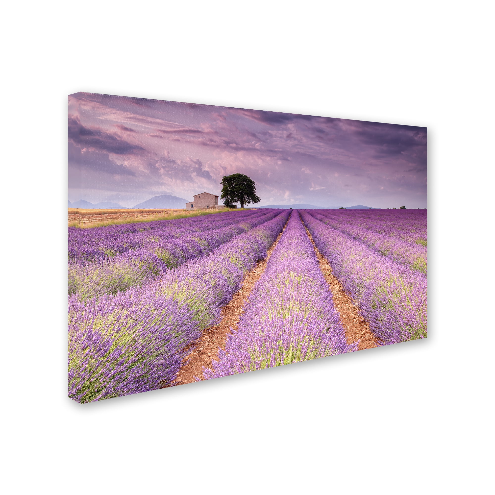 Trademark Fine Art 'Stone House' Canvas Art by Michael Blanchette Photography