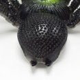 thumbnail image 3 of nipocaio Araignée Adhésive Douce Colorée, Grande Araignée, Modèle d'Insecte, Accessoires Enchevêtrés, 3 of 5