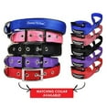 thumbnail image 3 of Downtown Pet Supply Reflective Dog Leash with Padded Handle, Black Leash for Dogs, 3 of 3
