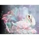 thumbnail image 1 of Pintura de diamante 5D DIY Kit de cisne FLhrweasw, 1 of 9
