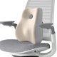 thumbnail image 1 of Cojín de espuma viscoelástica para la espalda, cojín para silla con respaldo bajo, mejora la postura al sentarse en el sofá, el coche, la conducción y Gris, 1 of 8