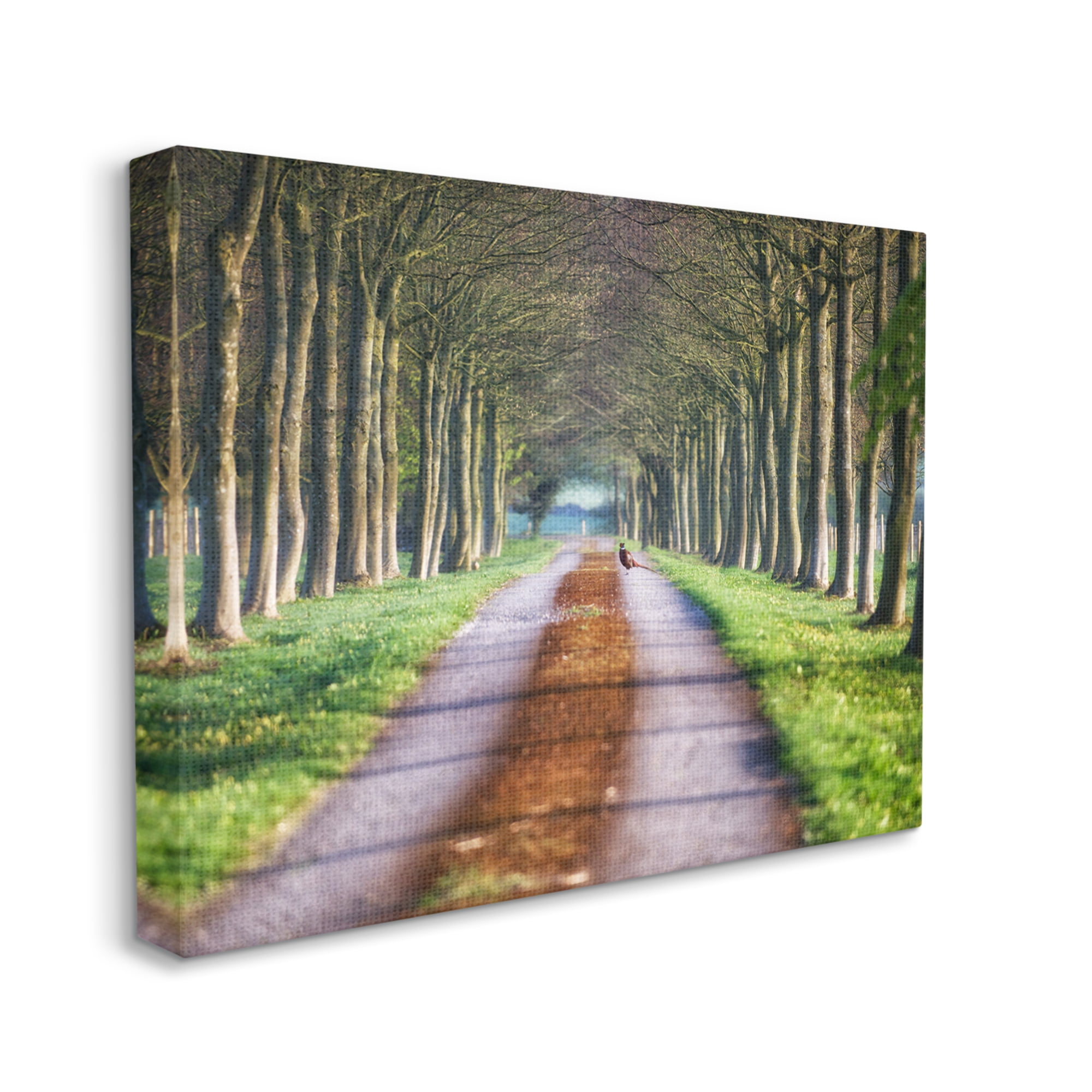 Stupell Industries Aligned Trees Along Orchard Path Nature Tunnel Photograph Gallery Wrapped Canvas Print Wall Art, Design by James Dobson