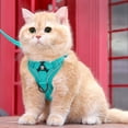 thumbnail image 5 of Adjustable Mesh Cat Harness and Vest with Leg for Secure Indoor Pet Adventures, 5 of 5