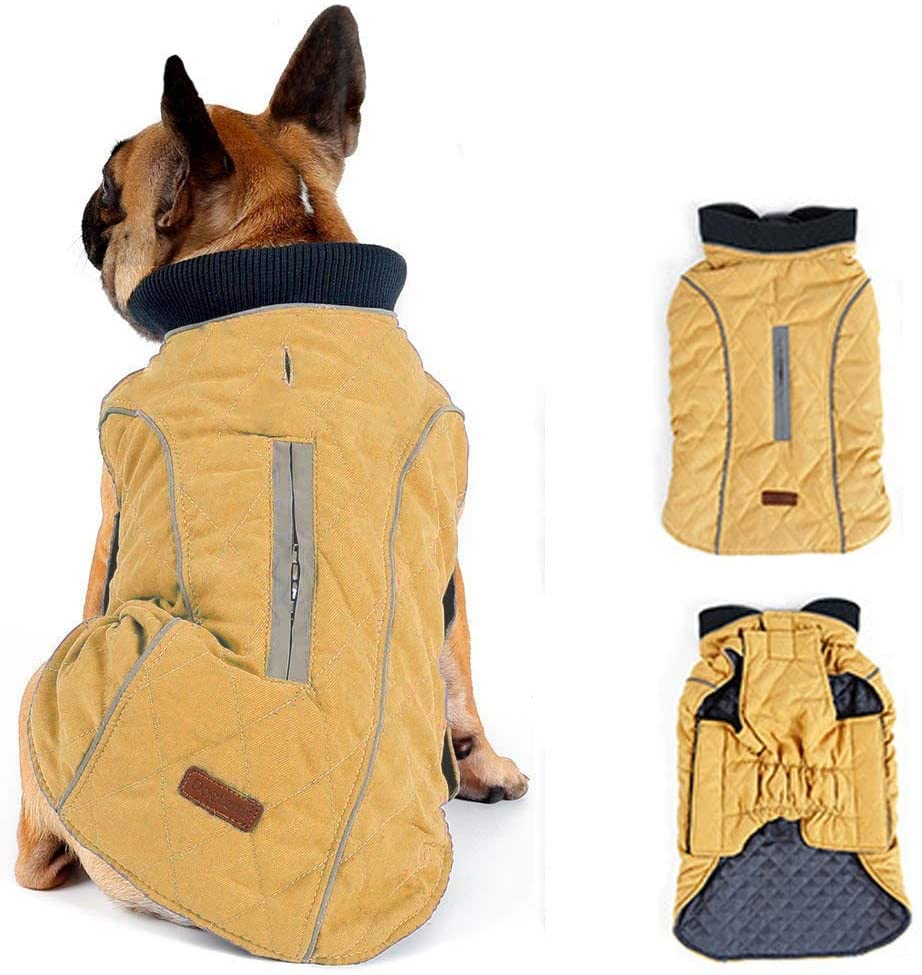 winter dog coats for jack russells