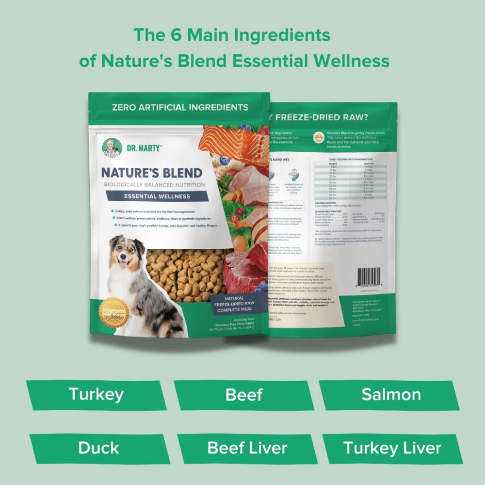 Dr. Marty Dr. Marty Nature's Blend for Active Vitality Seniors Freeze Dried Raw Dog Food 6-oz