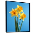 thumbnail image 2 of Designart "Daylight'S Yellow And Green Daffodils I" Daffodils Floater Framed Wall Art Prints, 2 of 5