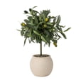 thumbnail image 5 of Better Homes & Gardens Realistic Artificial Olive Plant with Tan Ceramic Vase, 15-Inch, 5 of 7
