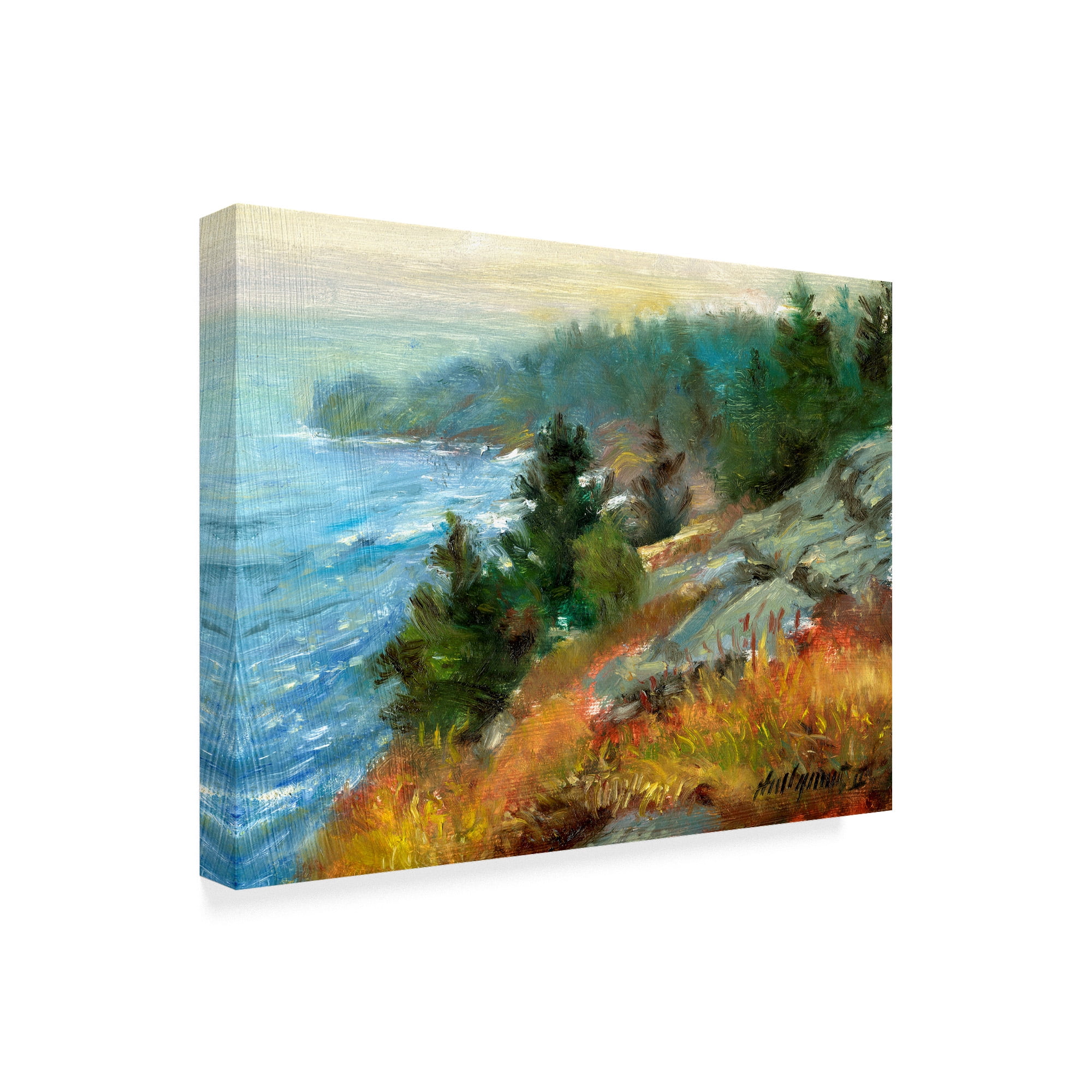 Trademark Fine Art 'White Head Monhegan Island' Canvas Art by Hall Groat Ii
