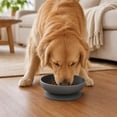 thumbnail image 4 of Suction Cup Dog Bowl, Slow Feeder Silicone Pet Dish with Non-Slip Base for Puppies, 5.9 Inch, BPA-Free, 4 of 10