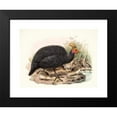 thumbnail image 2 of Joseph Smit 14x12 Black Modern Framed Museum Art Print Titled - The Nonsense Crowned. (1872), 2 of 5
