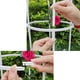 thumbnail image 5 of Marco de escalada de estilo europeo jardinería Greenery soporte de vid escalada poste de soporte, 5 of 7