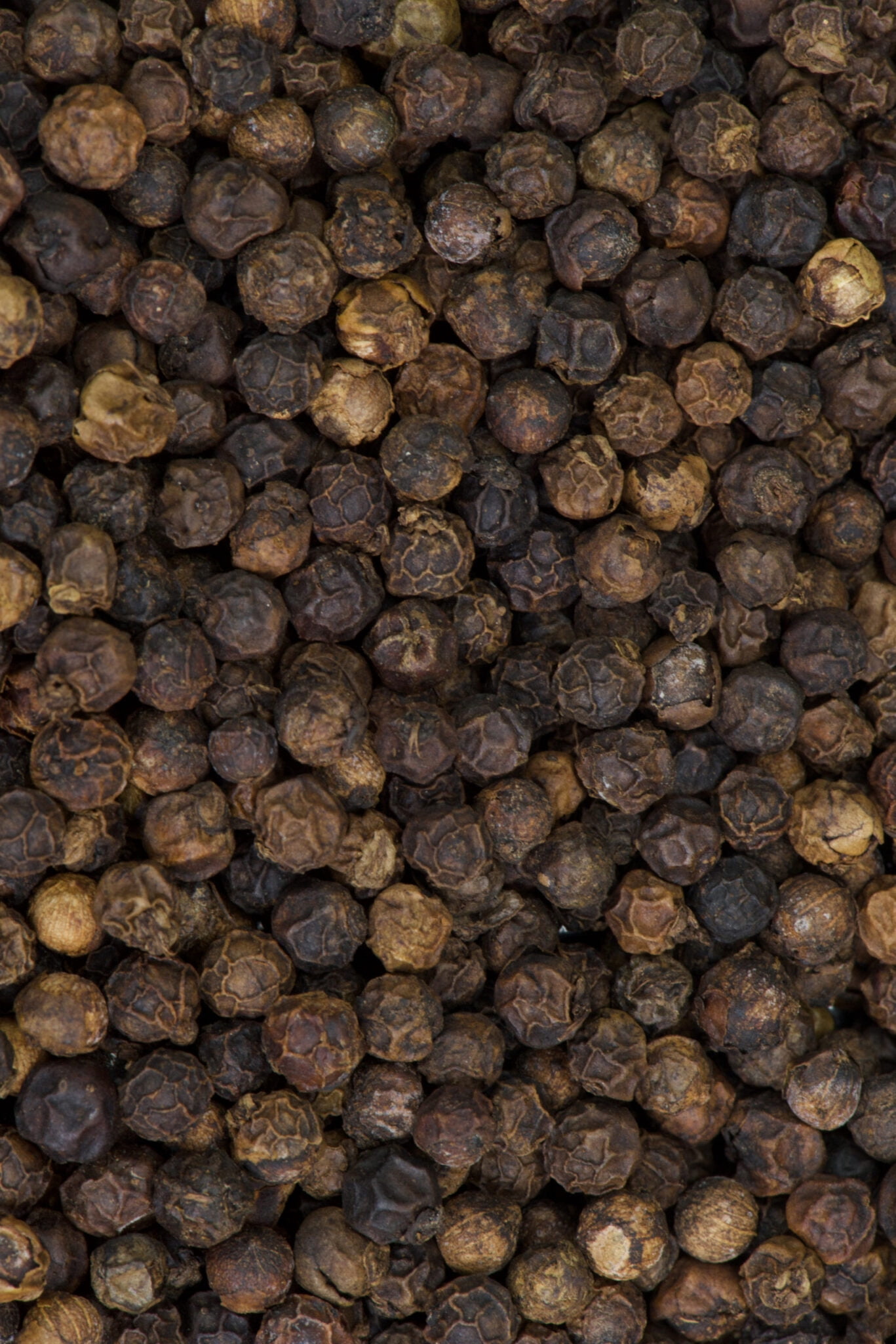 India Tree Premium Tellicherry Black Pepper - 4.5 oz (Packaging May Vary)