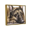 thumbnail image 3 of Stupell Industries Tired German Shepherd Dog Resting Head On Paw Painting Metallic Gold Floating Framed Canvas Print Wall Art, Design by George Dyachenko, 3 of 9