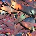 thumbnail image 2 of Northlight Mini Incandescent Christmas Lights - Multi-color - 4' Green Wire - 20ct, 2 of 4