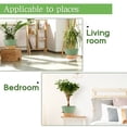 thumbnail image 3 of FIASON 6 Pack Plastic 5/5.5/6/6.5/7/8 Inch Green with Brown Self Watering Plant Pots,Include Watering Lip,Drainage Holes & Removable Saucer for Indoor Outdoor Garden House Plants, 3 of 13