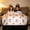C, variant on YHAICO Halloween Throw Blanket 10idot0x150cm - Soft Plush Fleece for Twin Bed, Cozy Flannel Nap Blanket for Women, Warm Decorative