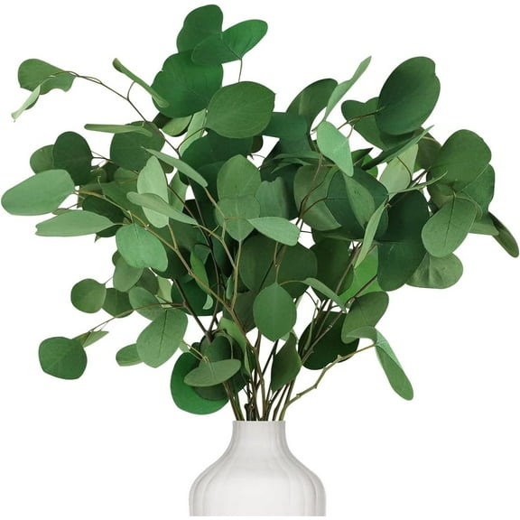 Real Eucalyptus Stems Tutuviw 3 oz Dried Preserved Fresh Eucalyptus Silver Dollar Leaves for Shower Eucalyptus Branches Greenery Branches for Wedding Home Party Vase Filler Spring Decor
