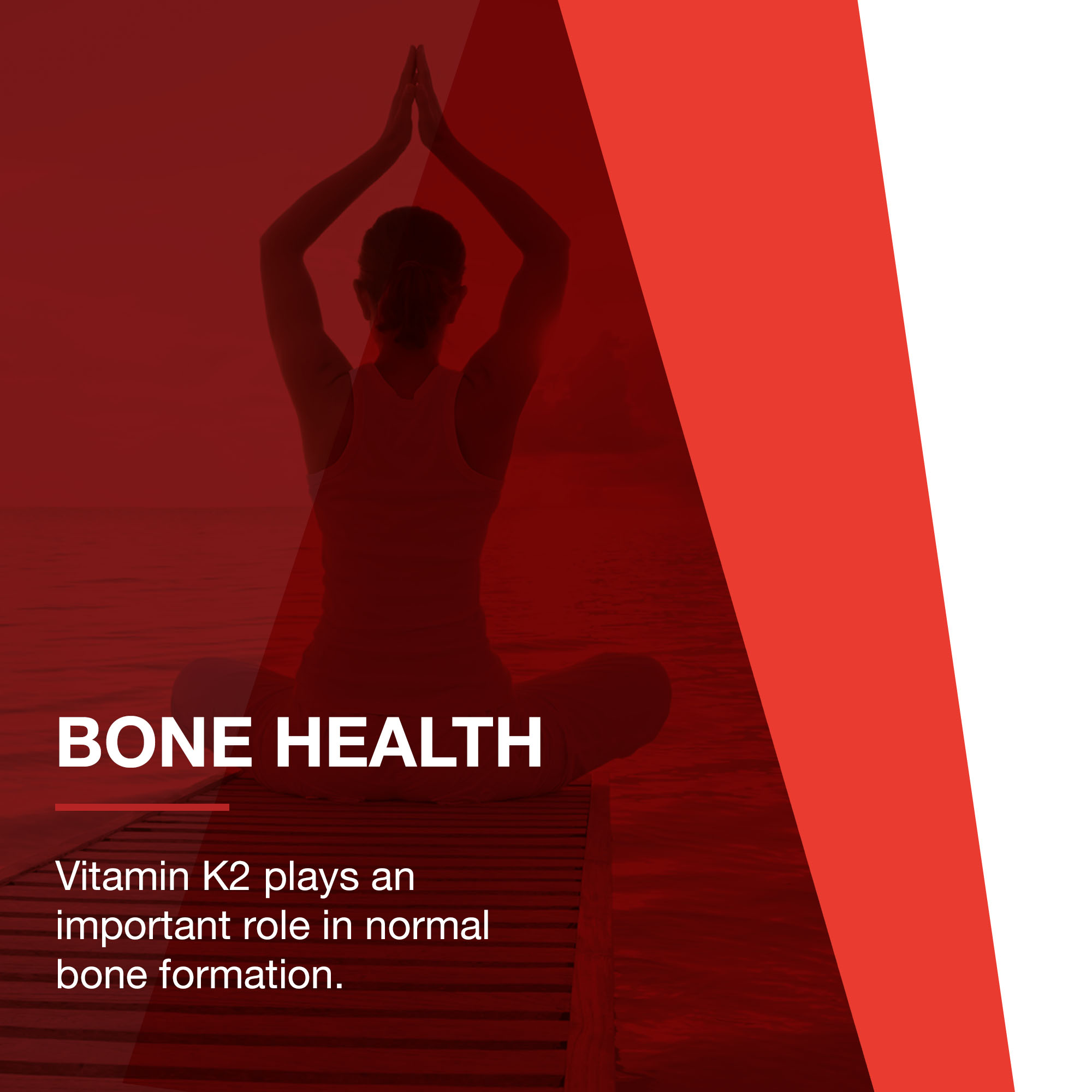 Buy Protocol For Life Balance MK7 Vitamin K2 160 mcg Vitamin K2