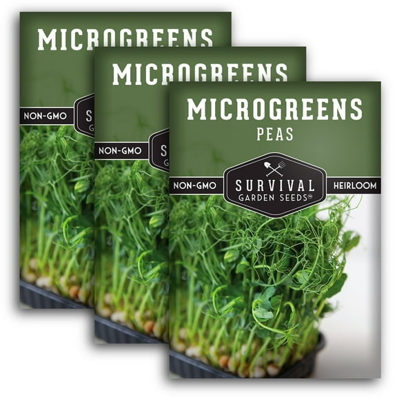 3 packs Sugar Pea Seed for Microgreens - Heirloom Full Sun Annual Vegetable Seeds