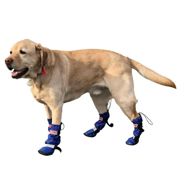 AllWeather Dog Boots Set of 4 Keeps Paws Clean and Dry Protects