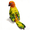 Orange, variant on Lifelike Green Parrot Soft Stuffed Animal, 9.8in Cute Plush Parrot Bird Pet Toy Gift for Friends
