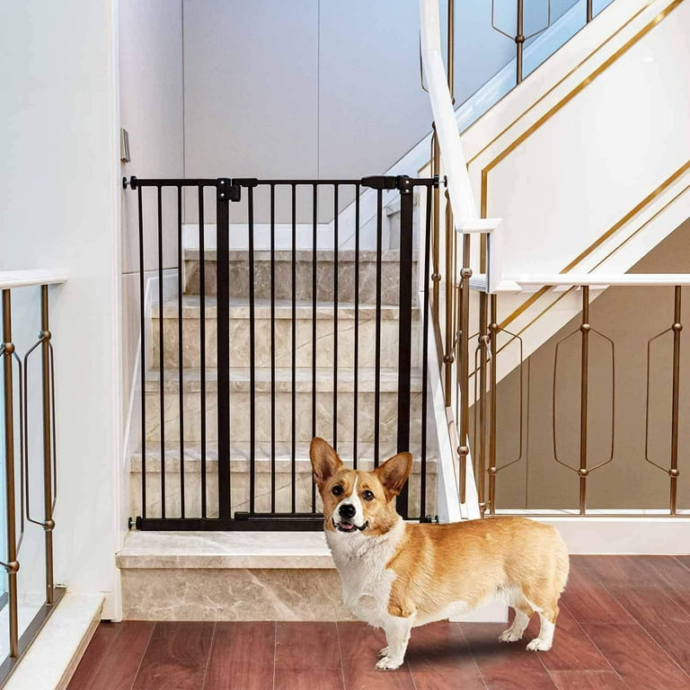 Extension gates top for dogs