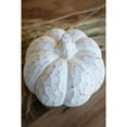 thumbnail image 3 of SET OF TWO FAUX WHITEWASH PUMPKINS, 3 of 4