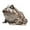Gray, variant on Pitycbo Frog Figurine Cute Decorative Animal Sculpture for Yard Farmhouse Countertop Green