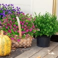 thumbnail image 2 of Artificial Flowers Outdoor, Artificial Flower for Outdoors Fake Outdoor Flowers UV Resistant Fake Flowers Outdoor for Outside Porch Window Box Garden Home Patio Decor (Fuchsia), 2 of 5