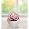 thumbnail image 2 of Mainstays 3.35" Artificial Succulent Plant in Cement Pot, Pink Color, 2 of 6