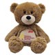 thumbnail image 1 of Oso de peluche Warmies para niños Miracle Network, marrón, 1 of 1