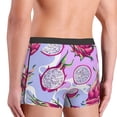thumbnail image 4 of Bingfone Dragon Fruit Men's Underwear - Casual Stretch Boxer Briefs-Medium, 4 of 7