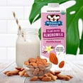thumbnail image 2 of (6 Pack) Mooala Almond Milk, Original Milk, 48 Fl Oz, 2 of 5