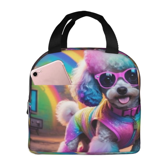 Vsdgher Rainbow Poodle Urban Street Lunch Bag, Lunch Box for Women Adult Men, Lunch Tote Insulated Cooler Lunch Container for Work/Office/Picnic/Travel