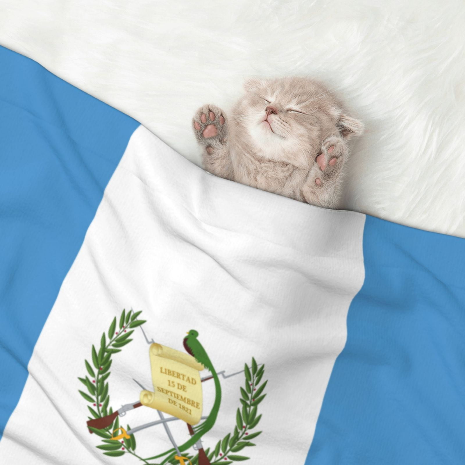 Flannel Throw Dog Blanket Flag Of Guatemala Soft Warm Print Pet Blankets for Small Dog Cat Puppy