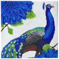 thumbnail image 1 of Crystal Art - CA Kit (Moyen) - Paon Fleuri, 1 of 1