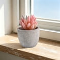 thumbnail image 6 of MMJ Artificial Potted Plants Faux Plants Small Plastic White Planter Tabletop Desk Home Office Decor 2.76x2.68x2.68in, 6 of 6