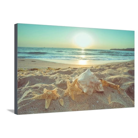 Photographic Canvas Art - Starfish and Shells on the Beach at Sunrise Coastal Ocean Seascape Landscape Photography Stretched Canvas Print Wall Art By Deyan Georgiev