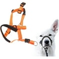 thumbnail image 3 of Gentle Leader for Dogs, Dog Head Halter with Safety Strap, Adjustable Prevent Pulling Dog Head Halter Dog Head Harness Perfect for Leash and Harness Training Medium and Large Dog Sizes(Orange), 3 of 8