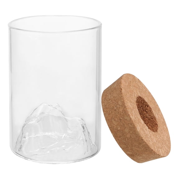 OUNONA Clear Glass Vase with Stopper, Decorative Hydroponic Planter for Indoor Plants, Stylish Plant Pot Set for Home