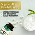 thumbnail image 4 of CoQ10 100mg Softgels - Better Absorption, Antioxidant for Heart Health & Cellular Energy Support - Nature's Co Q10 Vitamins, Non-GMO & Gluten Free, Coenzyme Q10 Supplement - 60 Softgels, 4 of 10