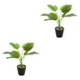 thumbnail image 3 of Plantas artificiales realistas Bewildely flores falsas en maceta de tortuga decoración hogar oficina jardín Tropical, 3 of 6