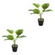 thumbnail image 3 of Planta en maceta Ounissouiy Hojas artificiales realistas JH5472 2Conjunto, 3 of 6