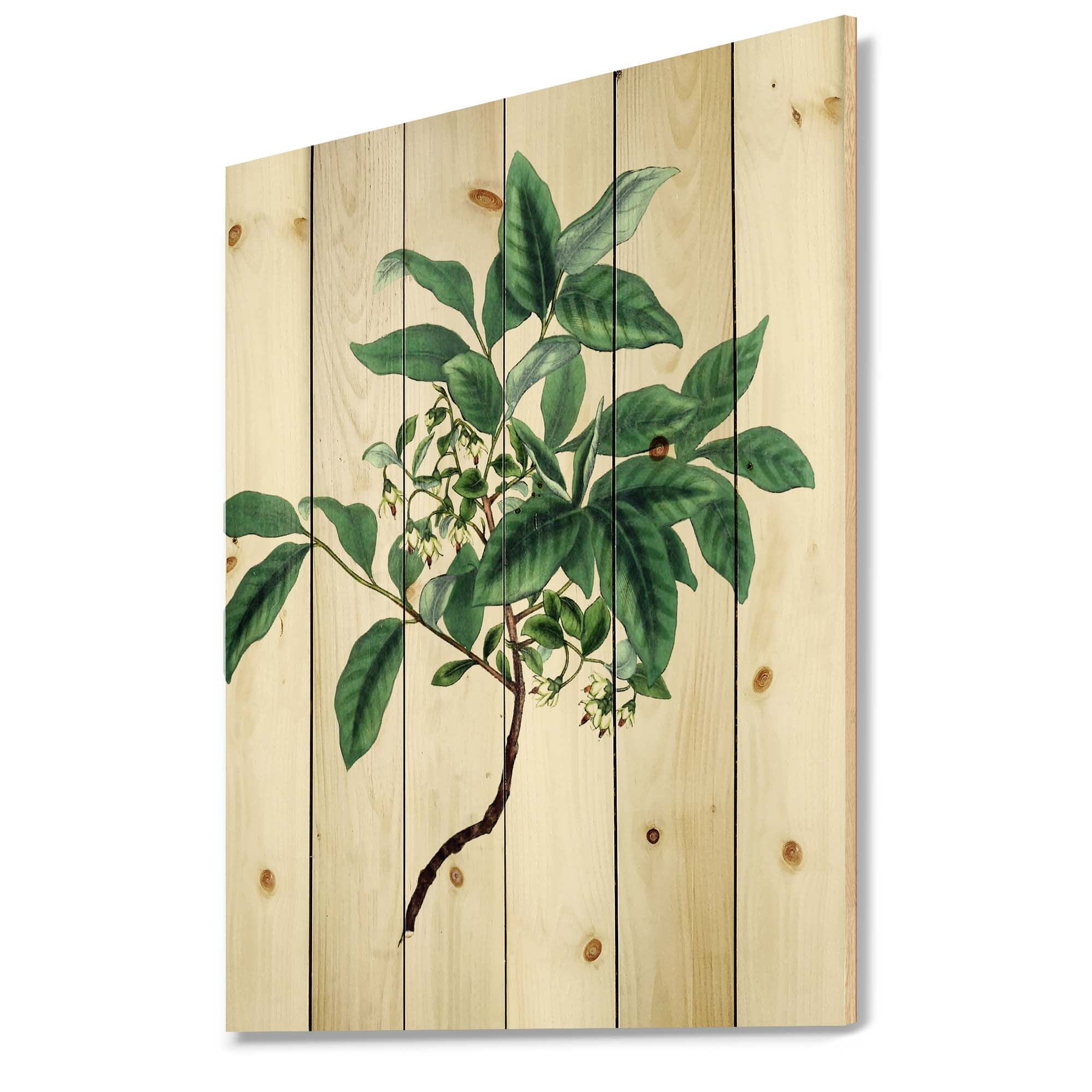 Designart 'Ancient Green Leaves Plants IV' Traditional Print on Natural Pine Wood