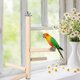 thumbnail image 2 of Soporte para pájaros, soporte de madera para jaulas de pájaros, percha para pájaros, soporte para pájaros para mascotas, eficiencia óptima, 2 of 9