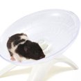 thumbnail image 4 of Guardoinrt Plastic Silent Running Exercise Wheel Hedgehogs Durable Noiseless Small Pets Exercise Wheel No Noise White, 4 of 6
