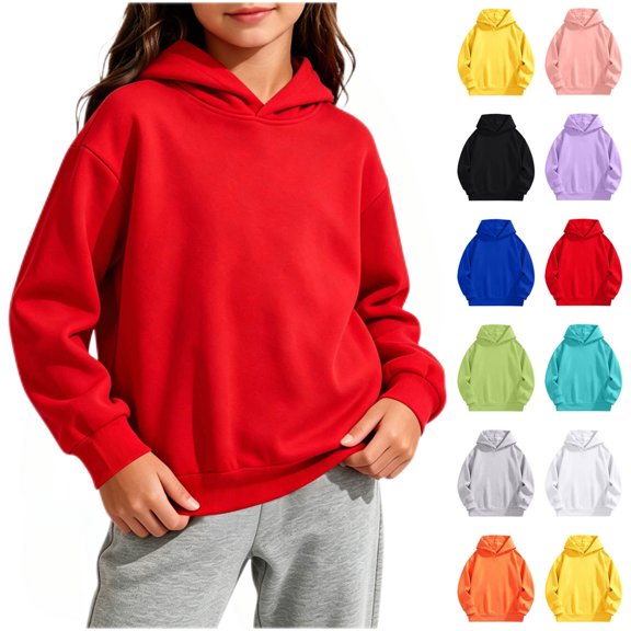 Diufon Toddler Hoodie for Girls Long Sleeve Casual Hooded Sweatshirts Going Out Fall Winter Warm Pullover Size 2-3Y