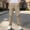 Khaki, variant on Amidoa Boys Twill Chino Pants Straight Leg Causal Elastic Waist Regular Fit Stretch Kids School Uniform Pants Dark Gray Size 7-8Years